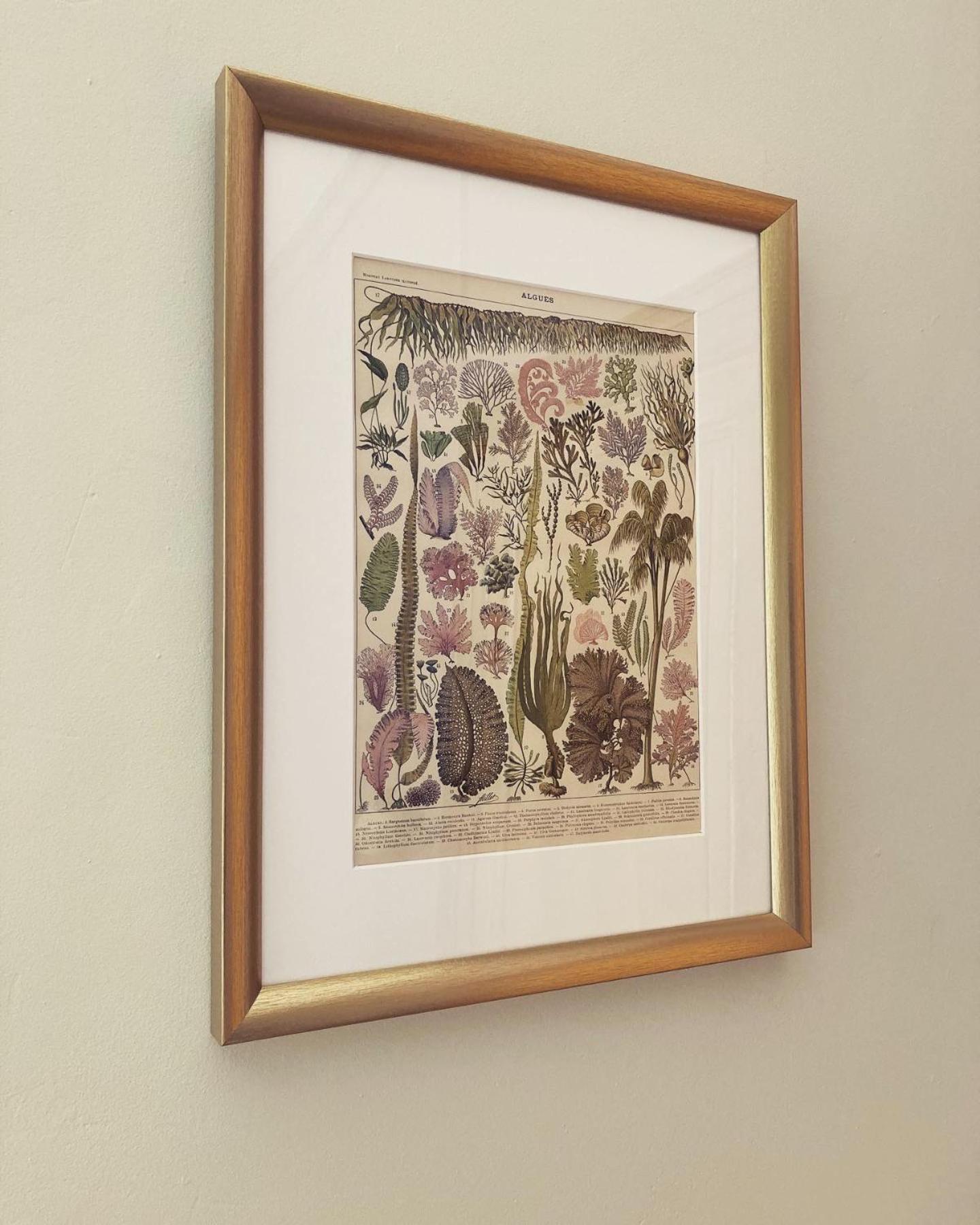 Maison D'Hotes La Doucelle Culture Et Bien-Etre Lignieres-Orgeres 部屋 写真